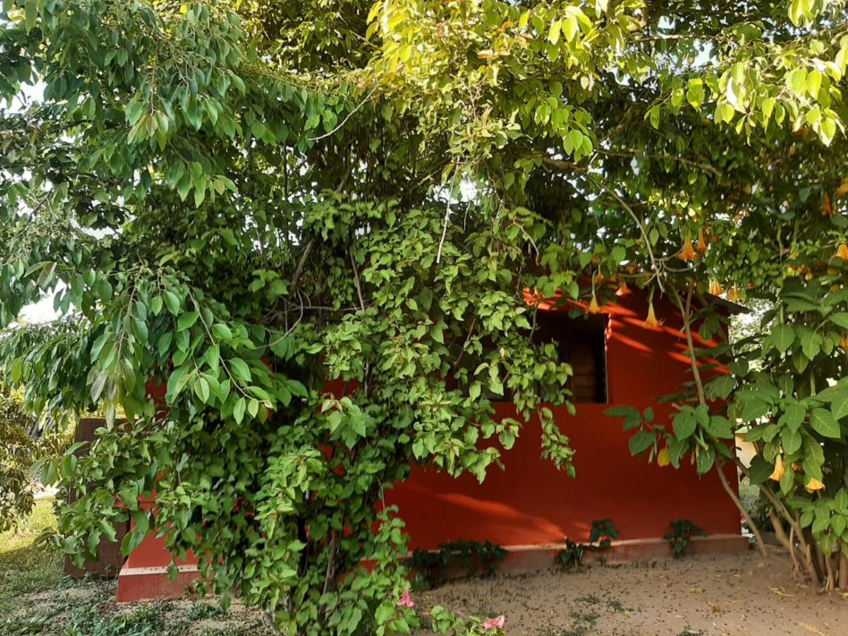 Casa Di Campagna Dal Pozzo Sorso Extérieur photo