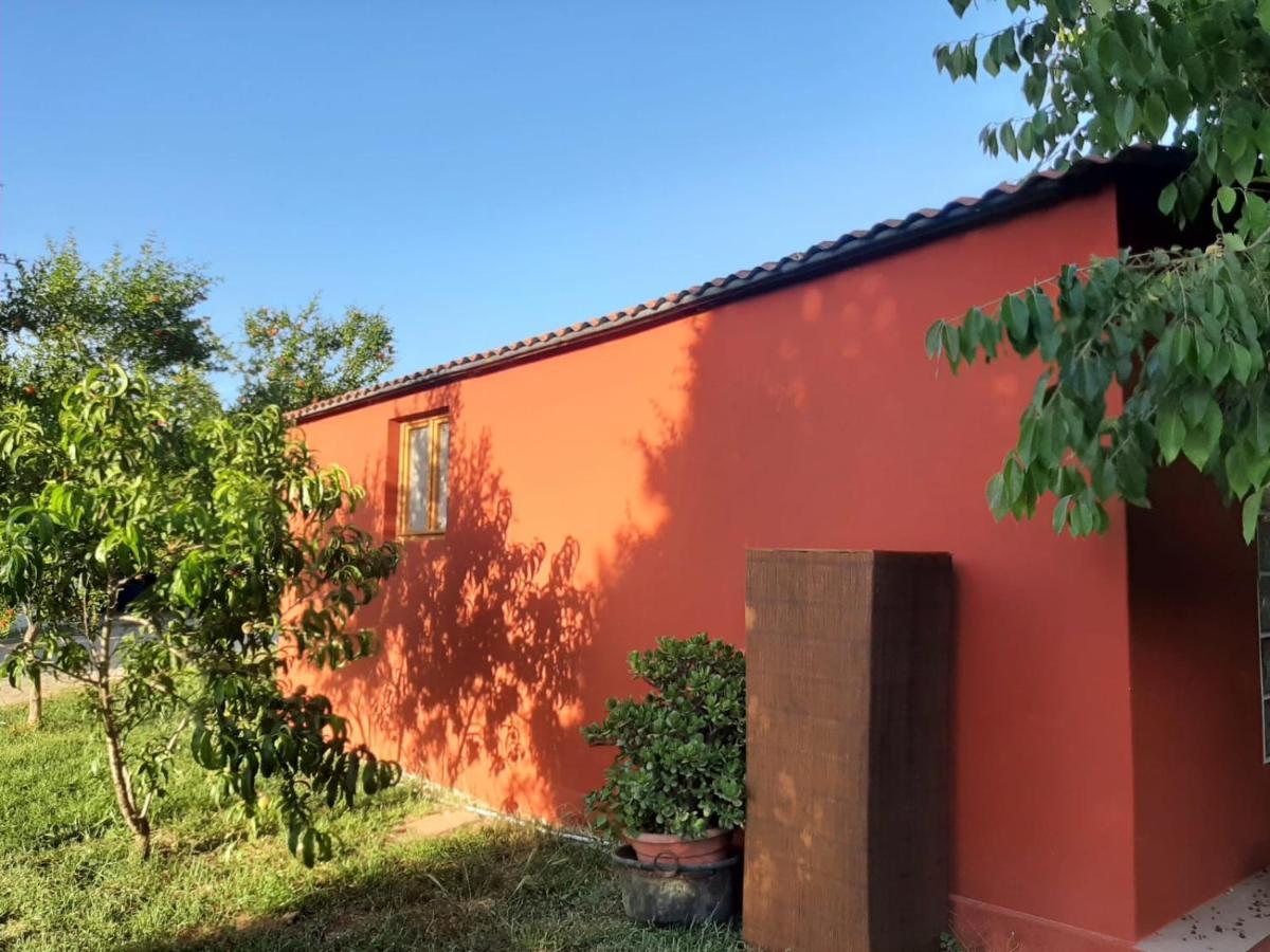 Casa Di Campagna Dal Pozzo Sorso Extérieur photo