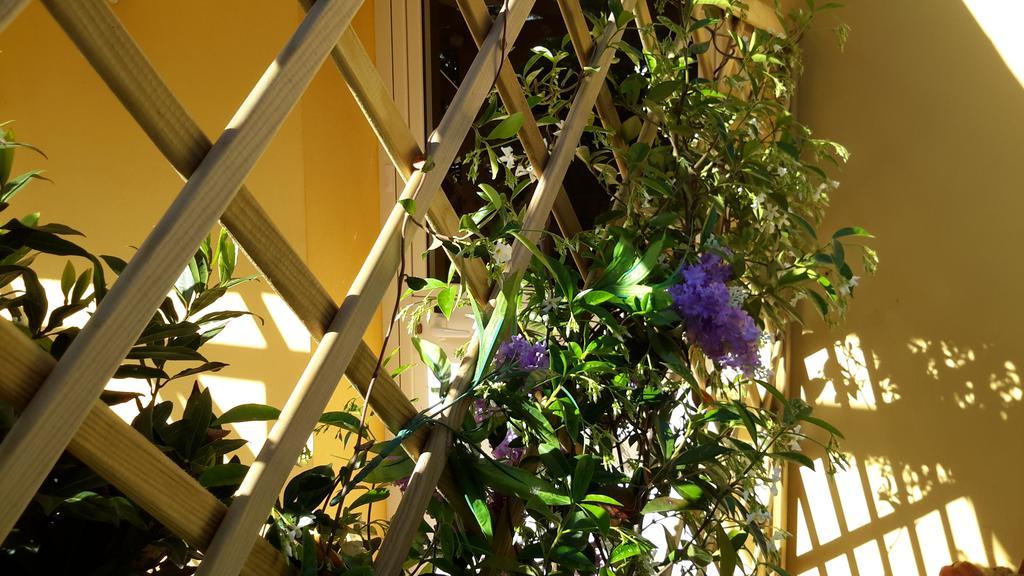 Casa Di Campagna Dal Pozzo Sorso Chambre photo